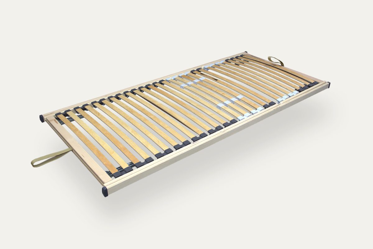 product-image-1350x902_ego-flexi-2025_1