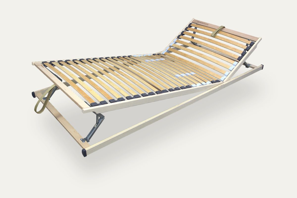 product-image-1350x902_ego-flexi-2025_2
