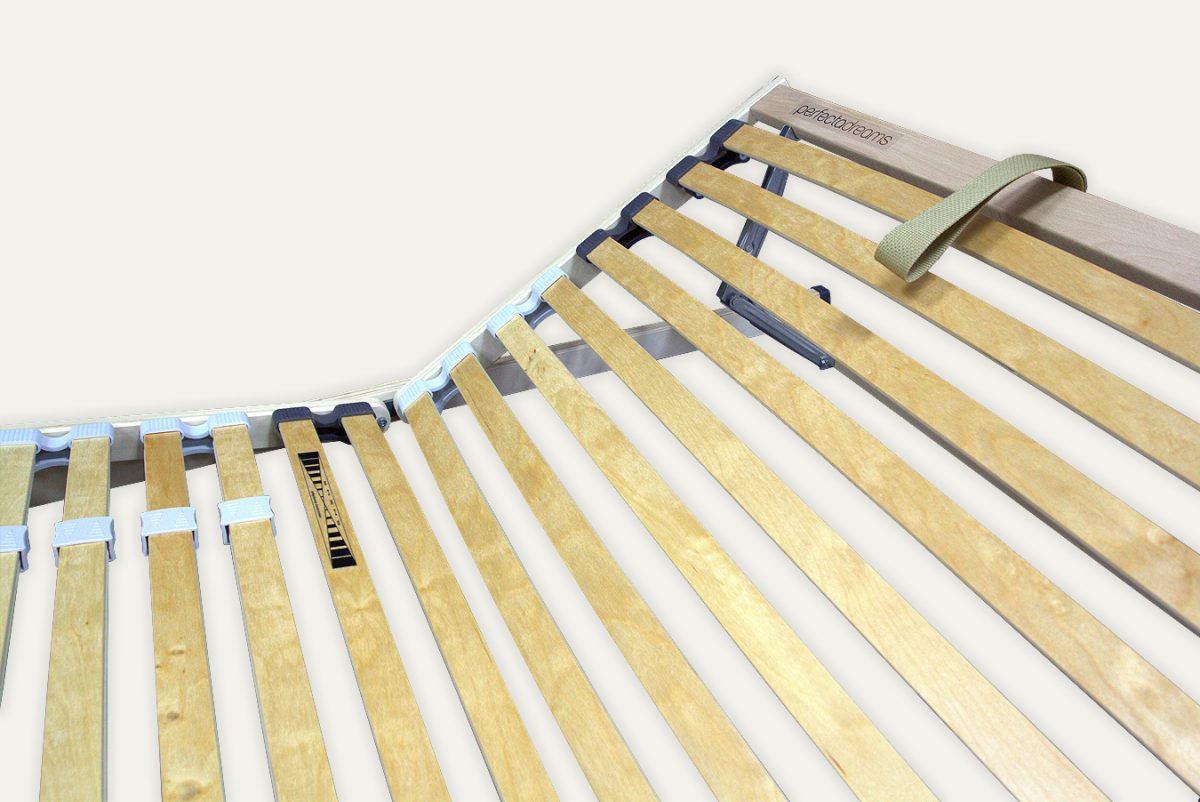 product-image-1350x902_ego-flexi-2025_4