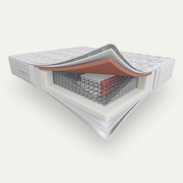 grid-644x644_anatom